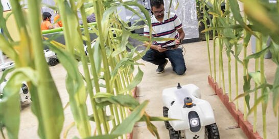 Student working with a crops robot