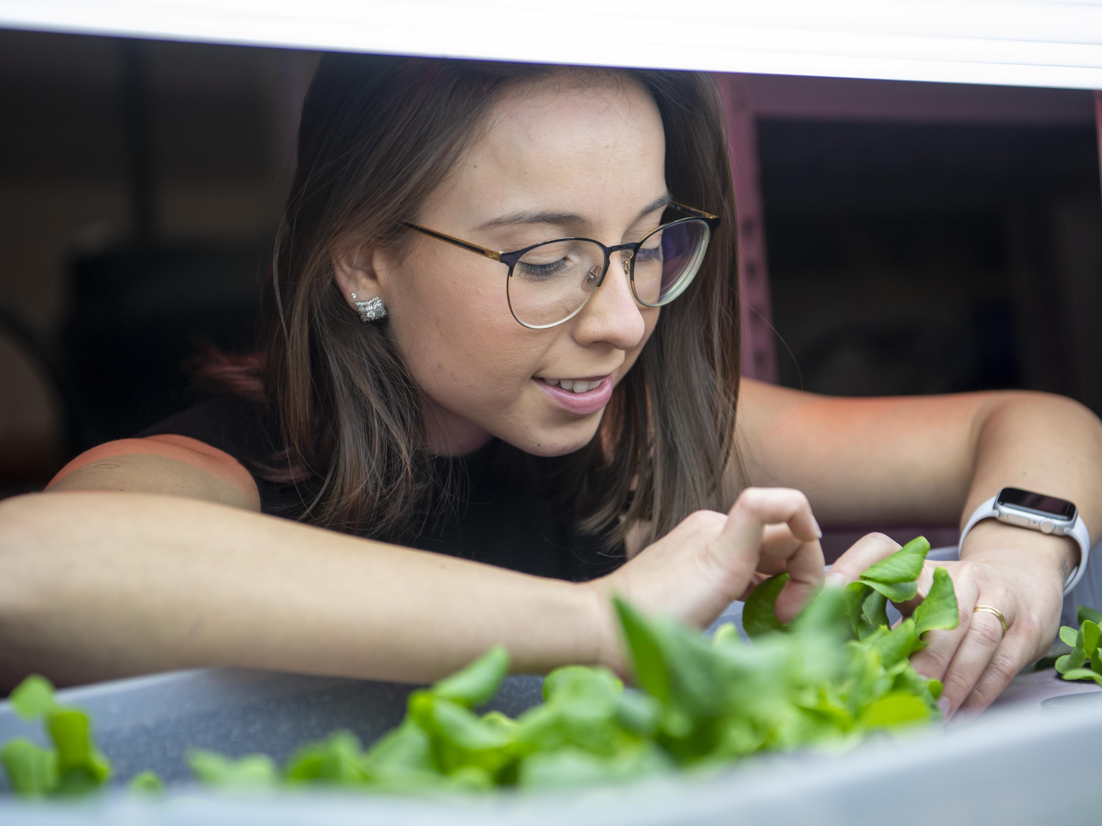 A female student touches some plants.