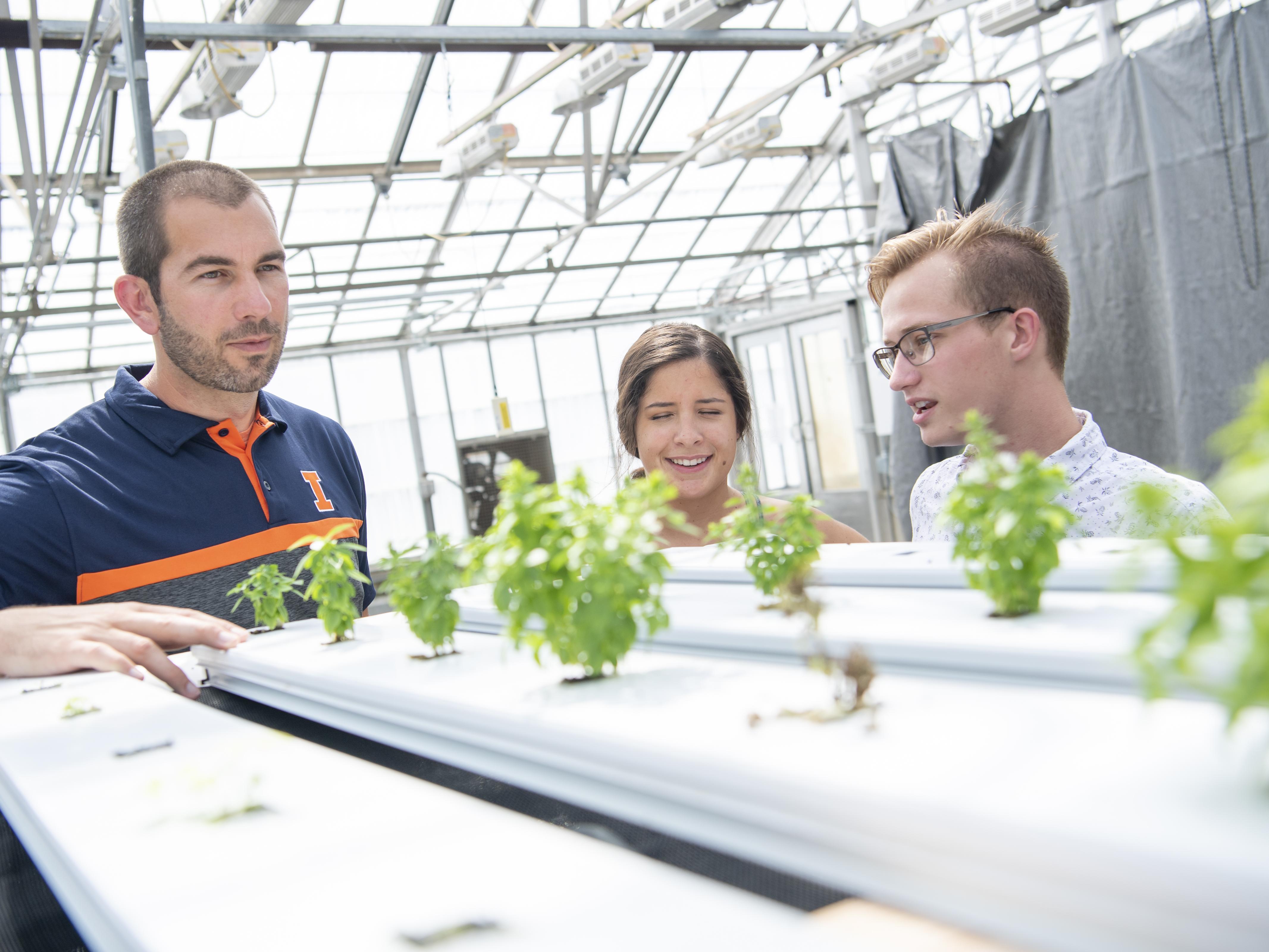 A professor and two students look at some plants in a greenhouse