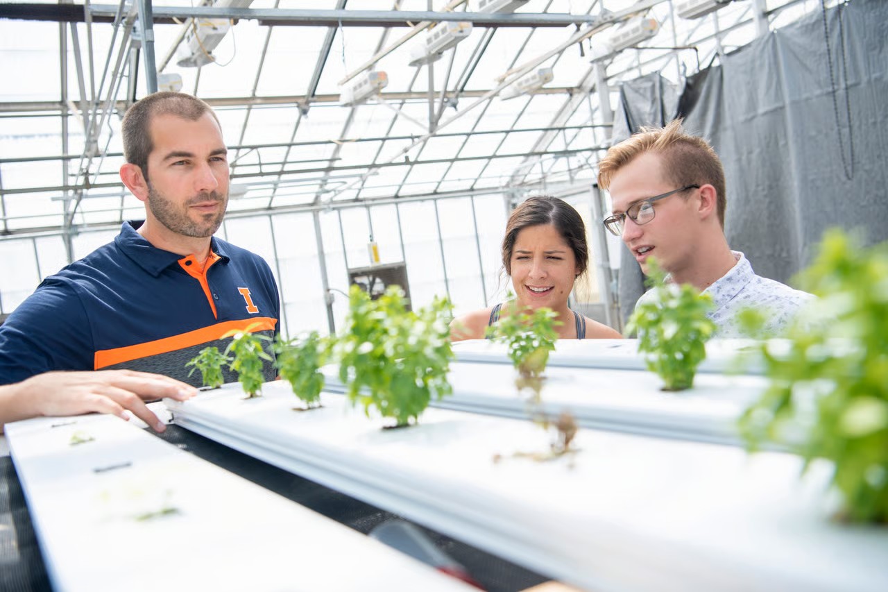 A professor and two students look at some plants in a greenhouse