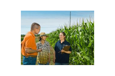 Professors and students in crop fields.