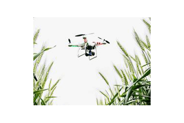 Drone flying over crop fields.